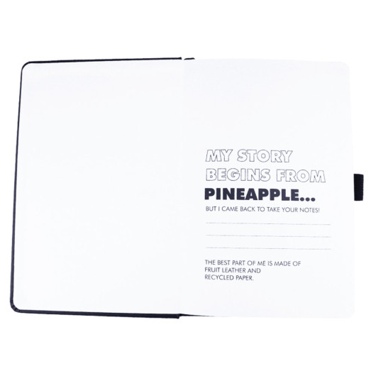 Pineapple Notebooks Inside cover